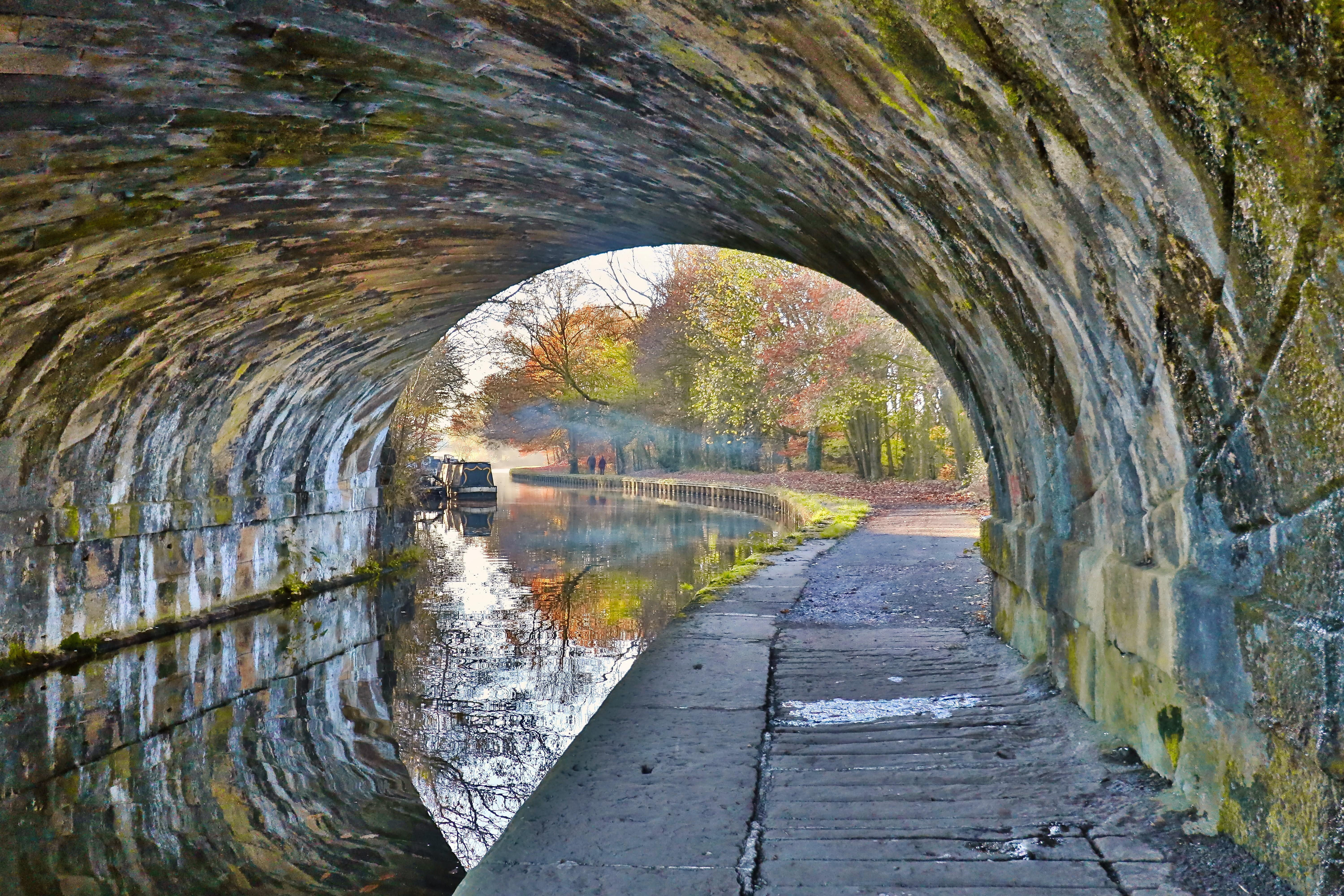 Winning entry of the Chorley Captured category in the 2024 Chorley Flower Show Photography Competition