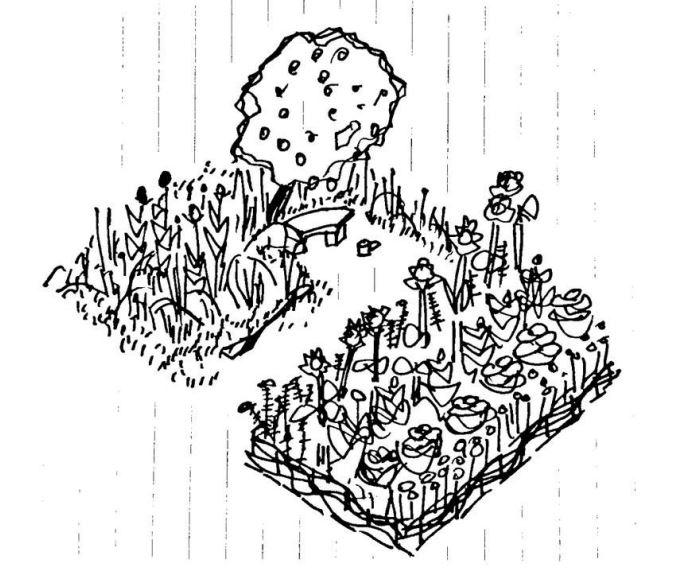 The Garden of Mr Cann illustration