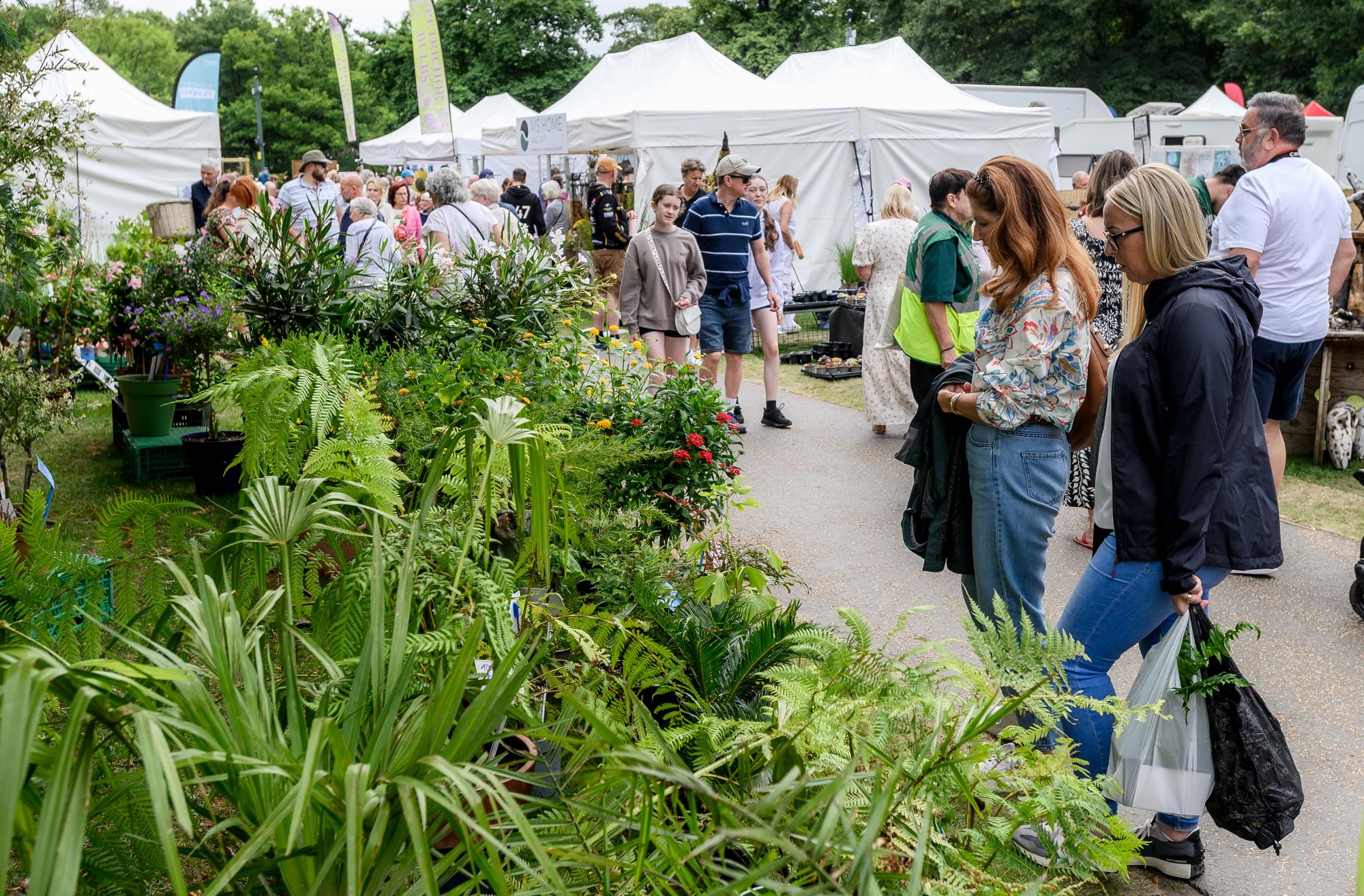 Visitors looking at plant stalls