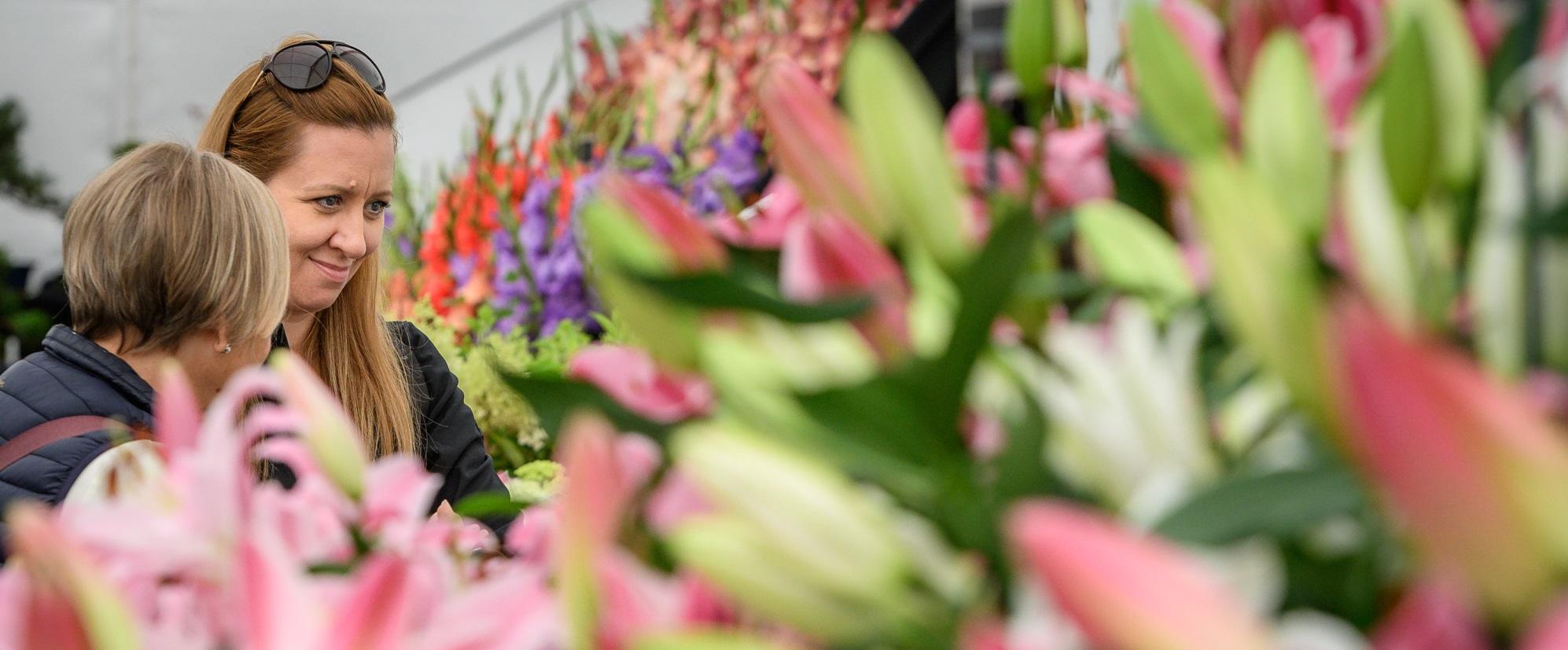 Display of flowers