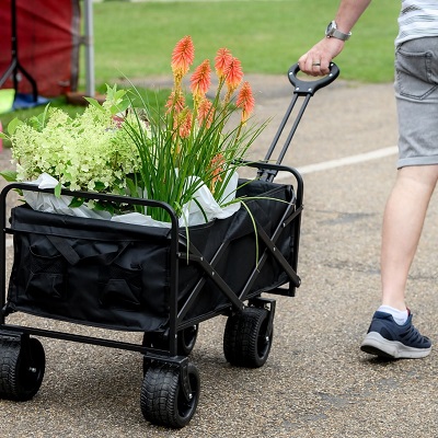 Shopping cart with plants in