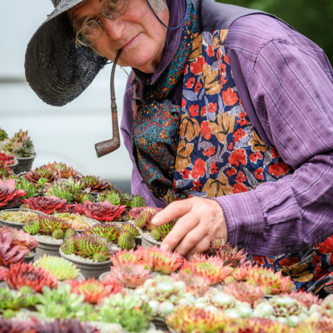 Day one of the annual Chorley Flower Show at Astley Park, Chorley, Lancashiree. Picture by Paul Heyes, Friday July 28, 2023.
